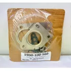 Gasket Kit 1900-100-560 for Nissan, Opel, Renault, Vauxhall