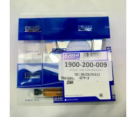AJUSA 1900-200-009 Fitting Kit for Ford Ranger, Transit